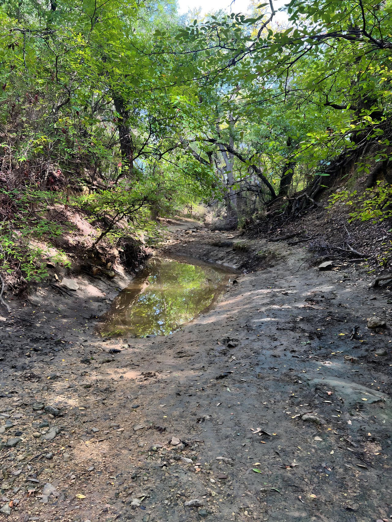 May Creek Ranchette | 10 +/- ACRES | Brown County, Texas