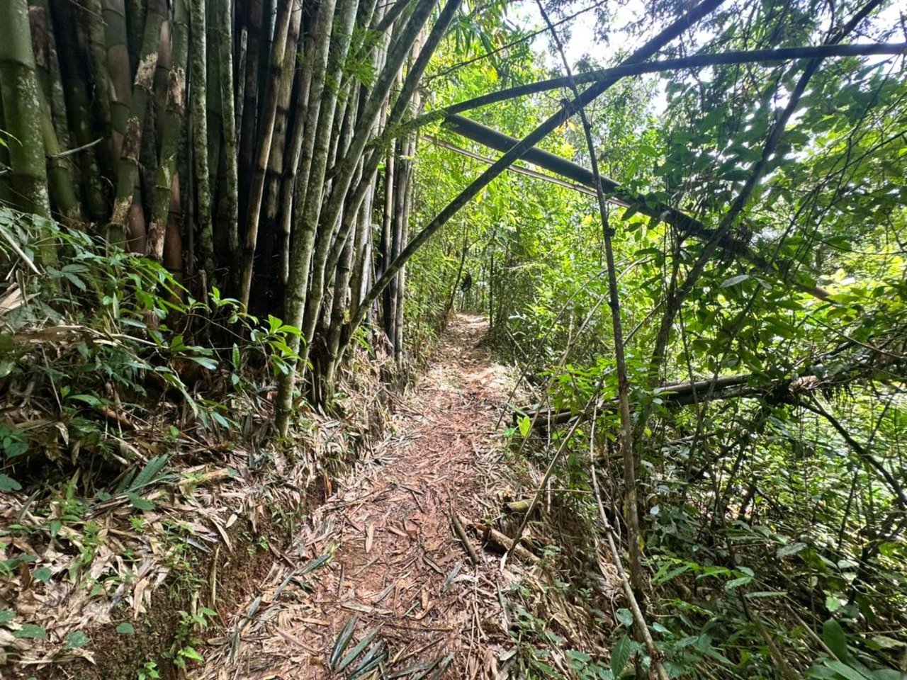 Waterfall Eco Hotel Estate, Perez Zeledon, San Jose