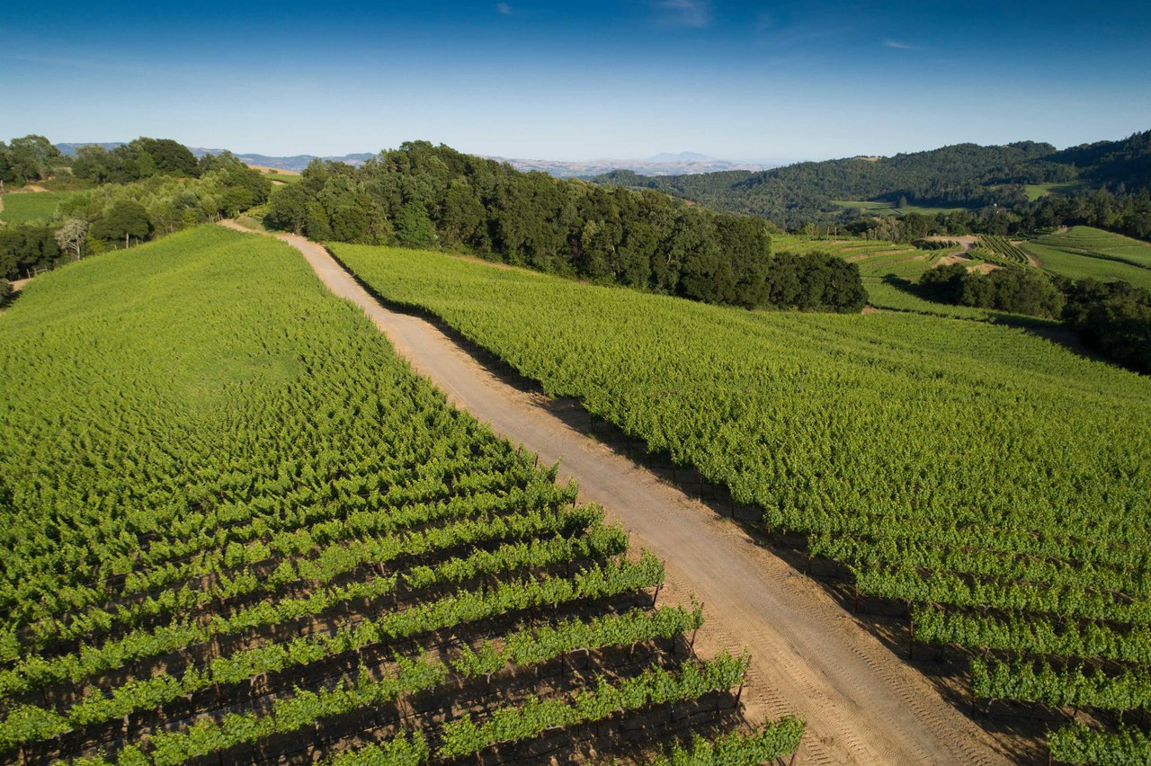 Mount Veeder Road, Napa