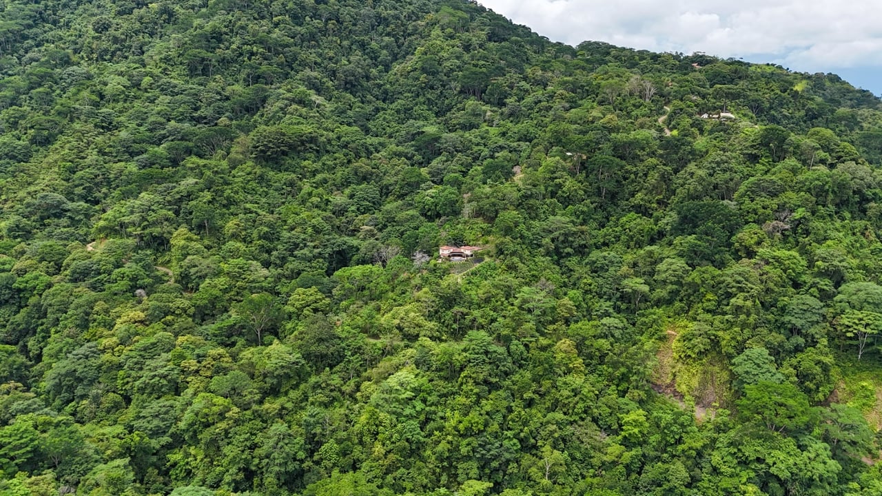 Waterfall Orchard Jungle Estate, Ojochal, Puntarenas