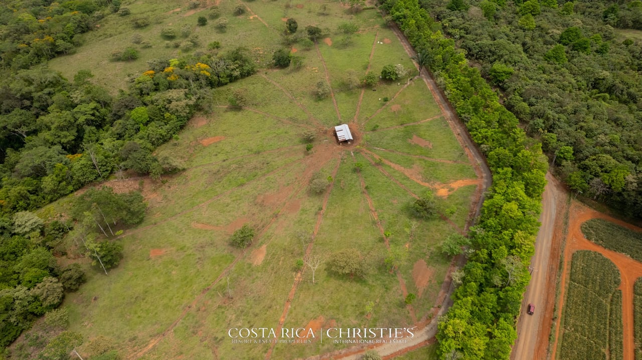 Finca Buenos Aires