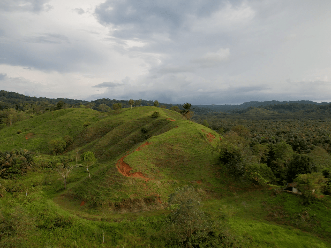 382 Acres of Sierpe River Wild Lands