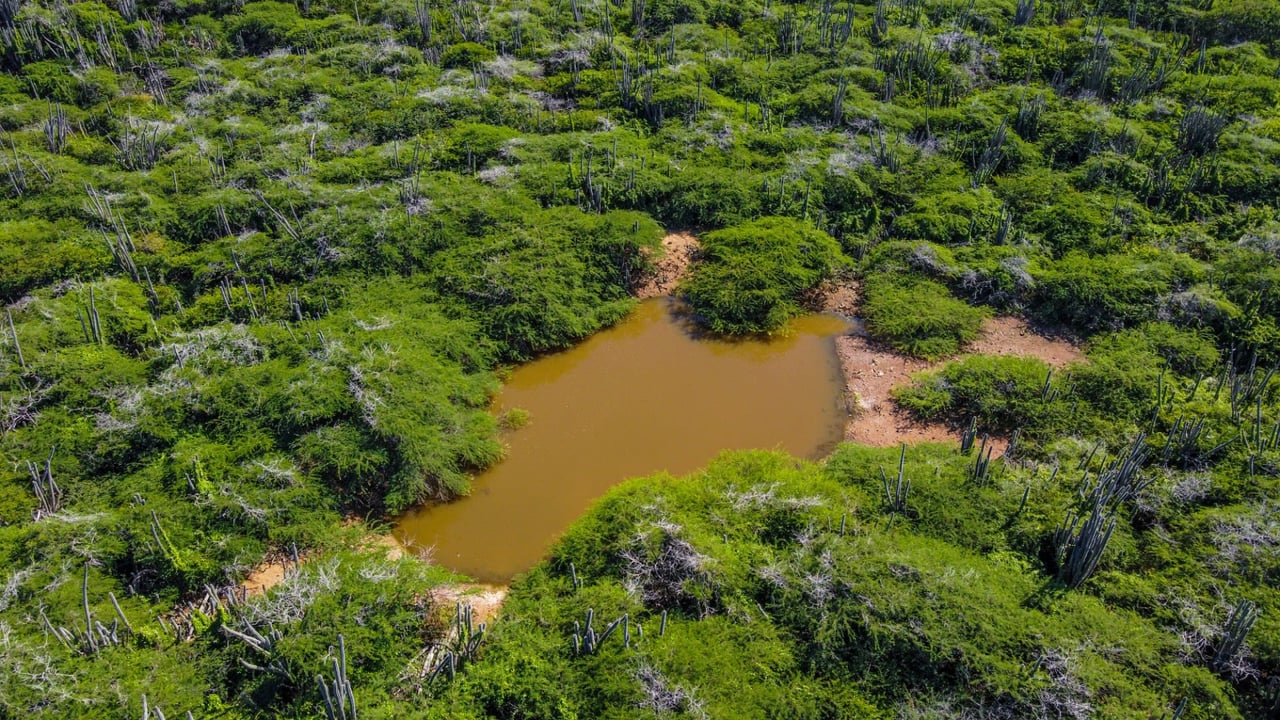 Property land Bonaire