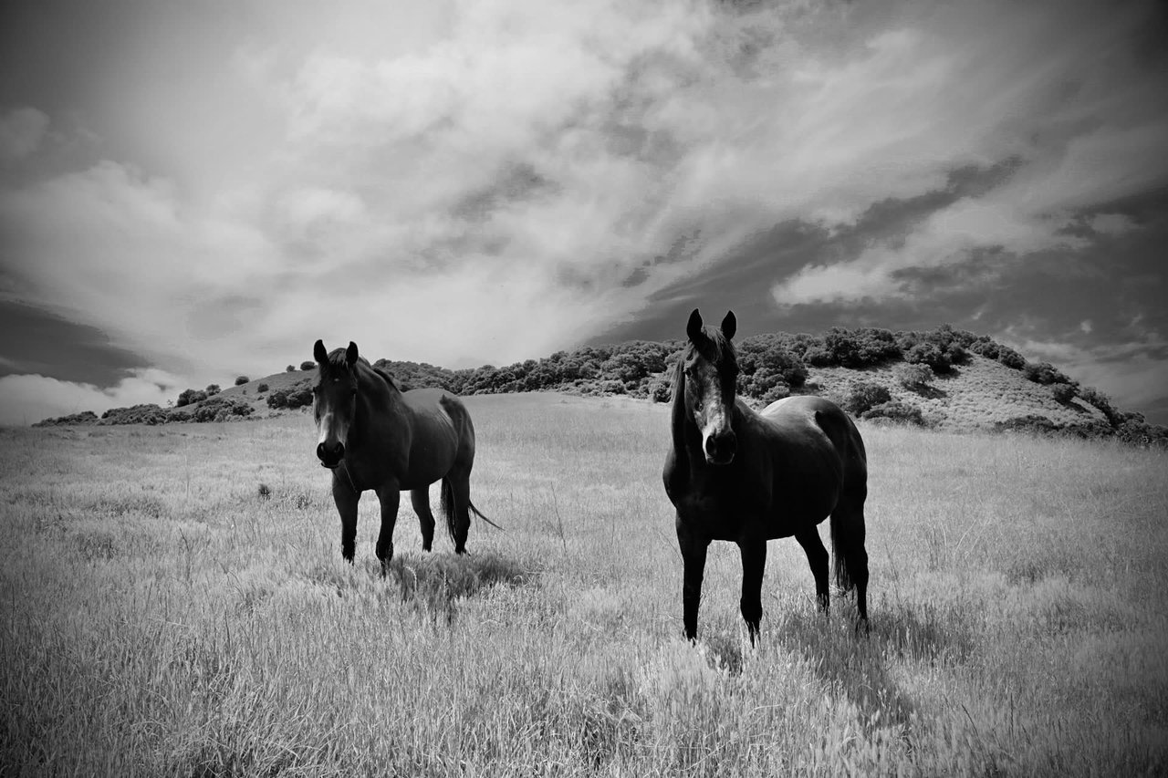 La Hoya Creek Ranch