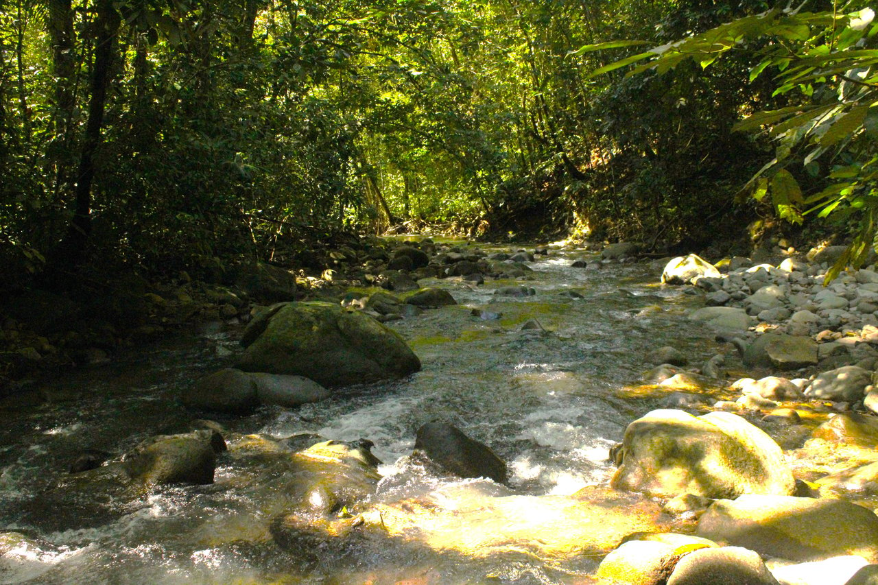 River Frontage Lot close to Uvita