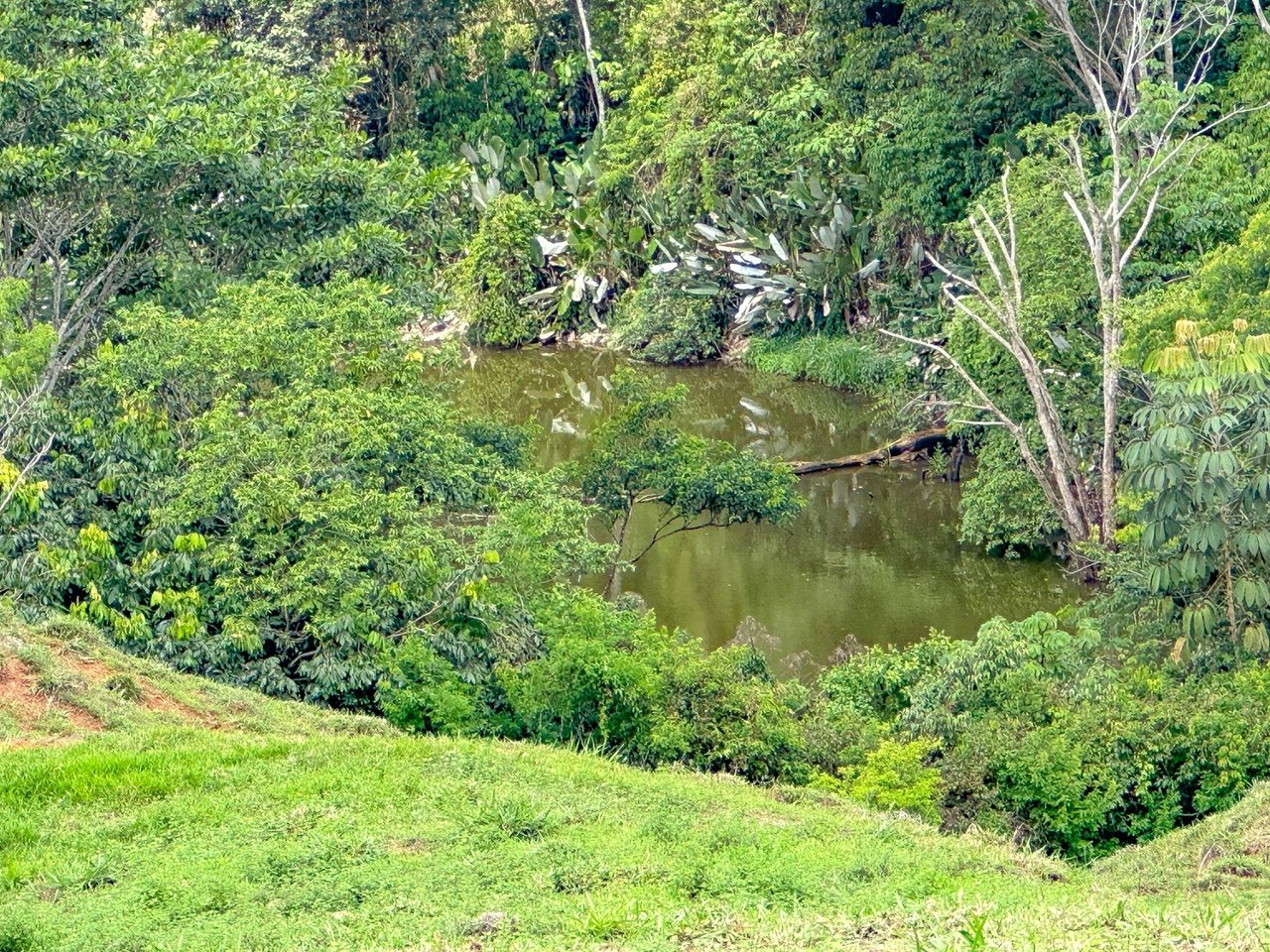 Waterfall Eco Resort Land, Dominical, Puntarenas