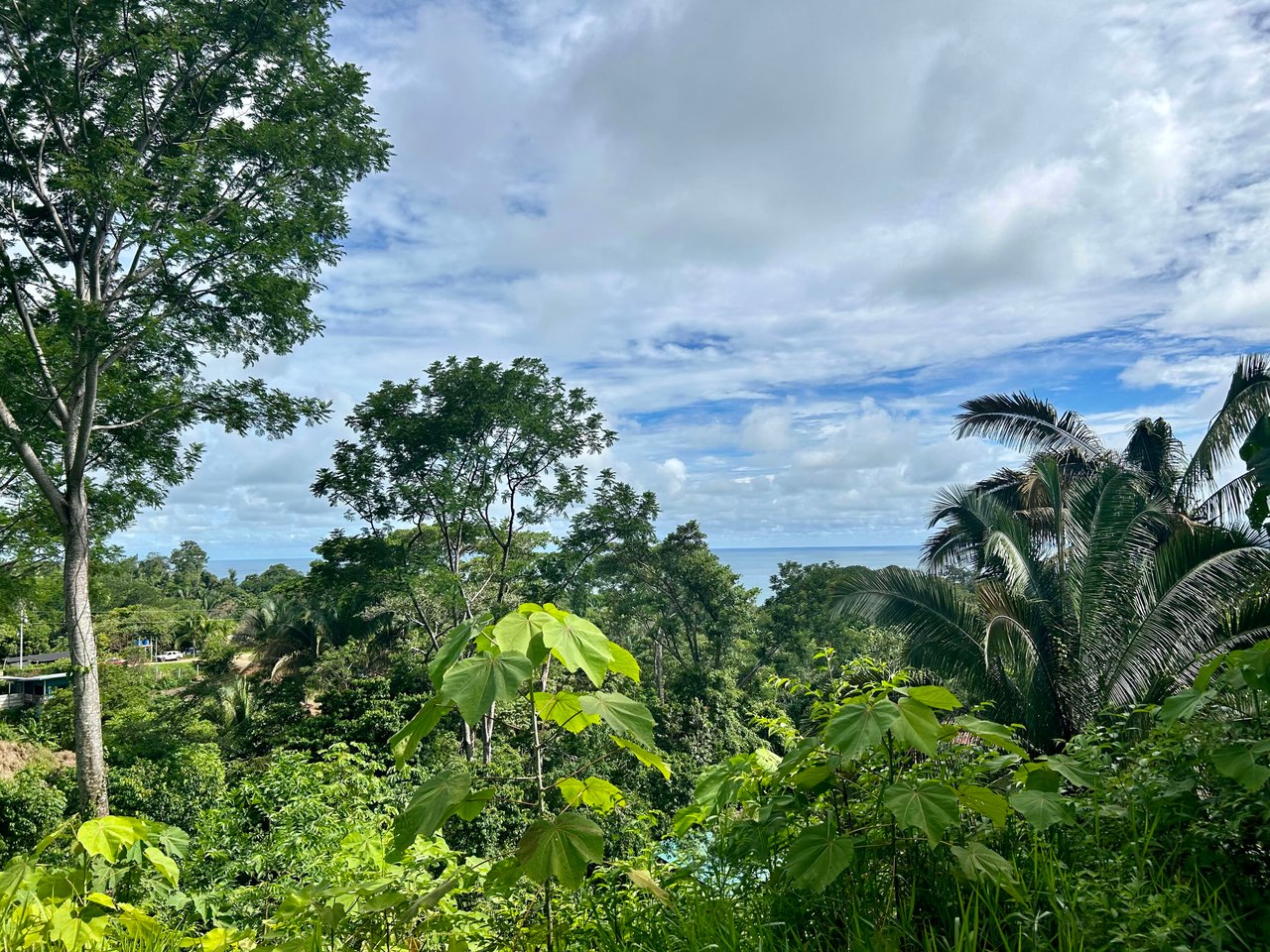 Ocean View Property in Playa Hermosa, Over 1.75 Acres