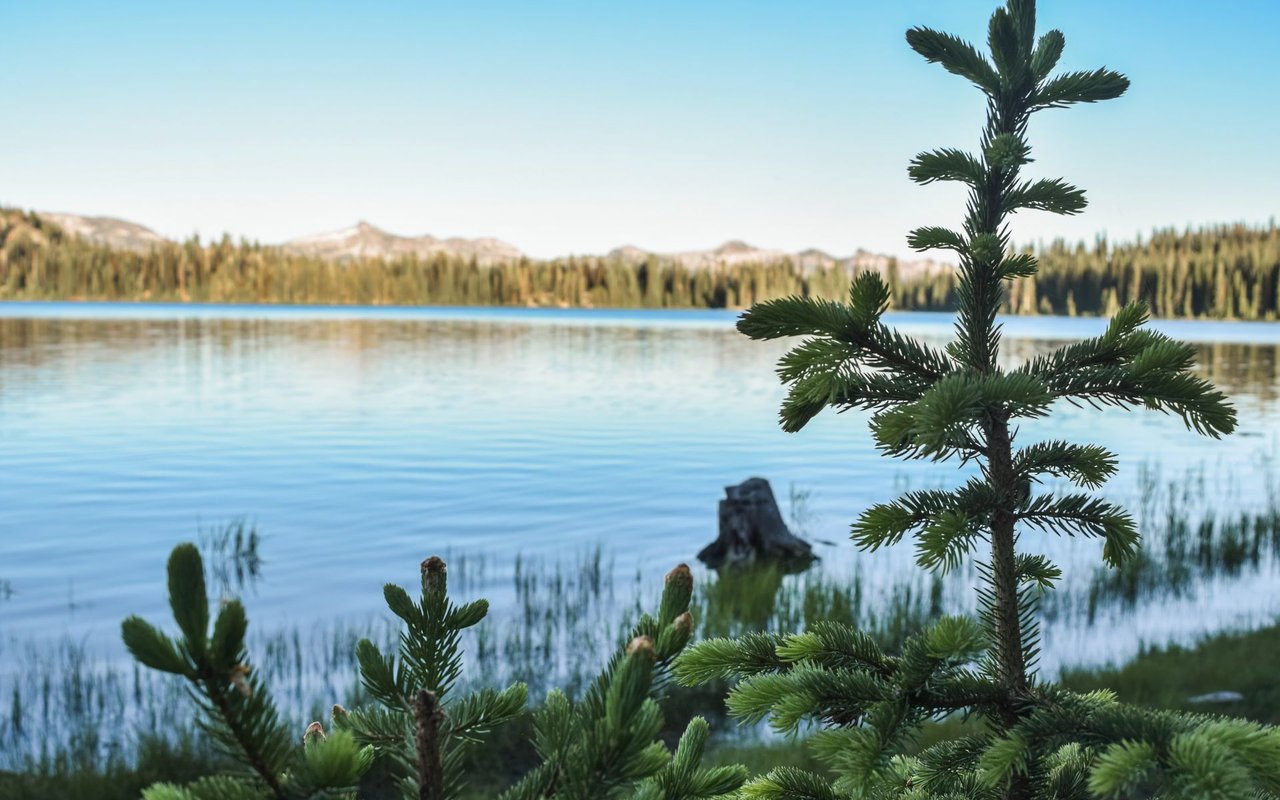 Retreat to Ketchum: How to Find a Secluded Vacation Home in Idaho’s Serene Lands