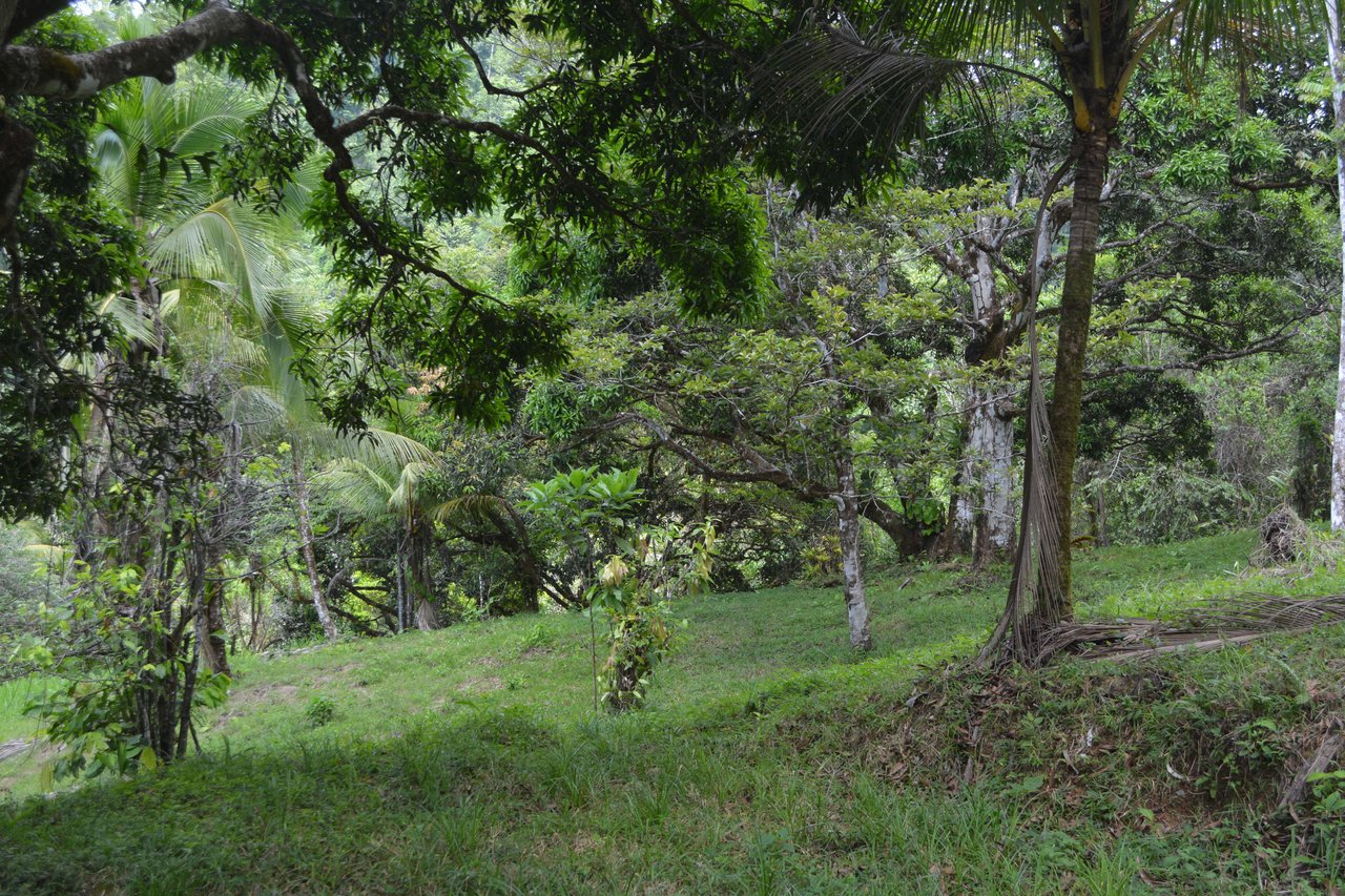 42 Acres With Waterfalls, Ocean Views & Multiple Building Sites Sliencio Ariba