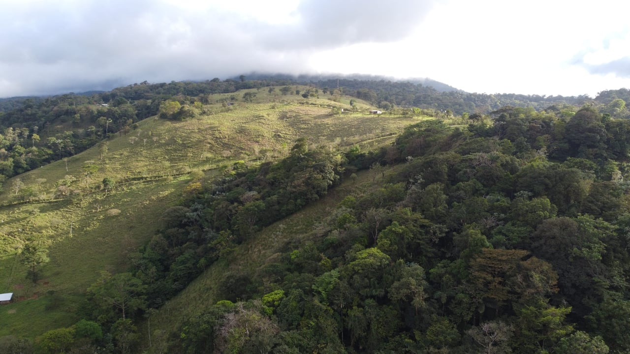 Colina del Tapir | Experience breathtaking views of Lake Nicaragua, with the majestic Concepcion Volcano against the backdrop of Ometepe Island!