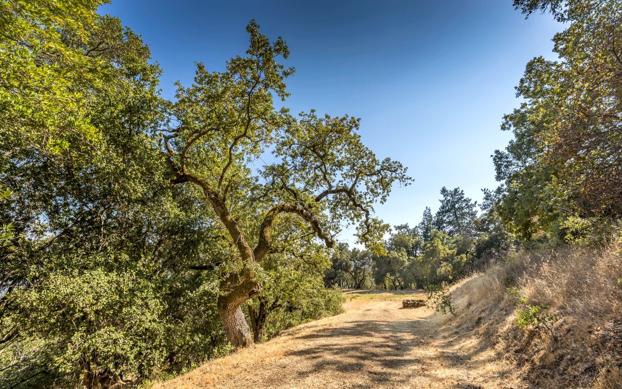 Grove Street, Sonoma