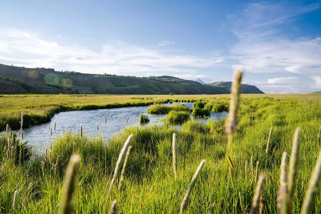 Spring Creek Confluence