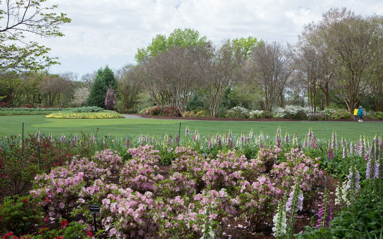 Lakewood / East Dallas