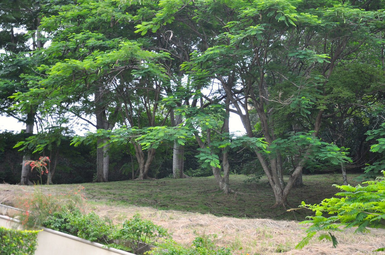 Villa Real Residential Lot, Santa Ana, San Jose
