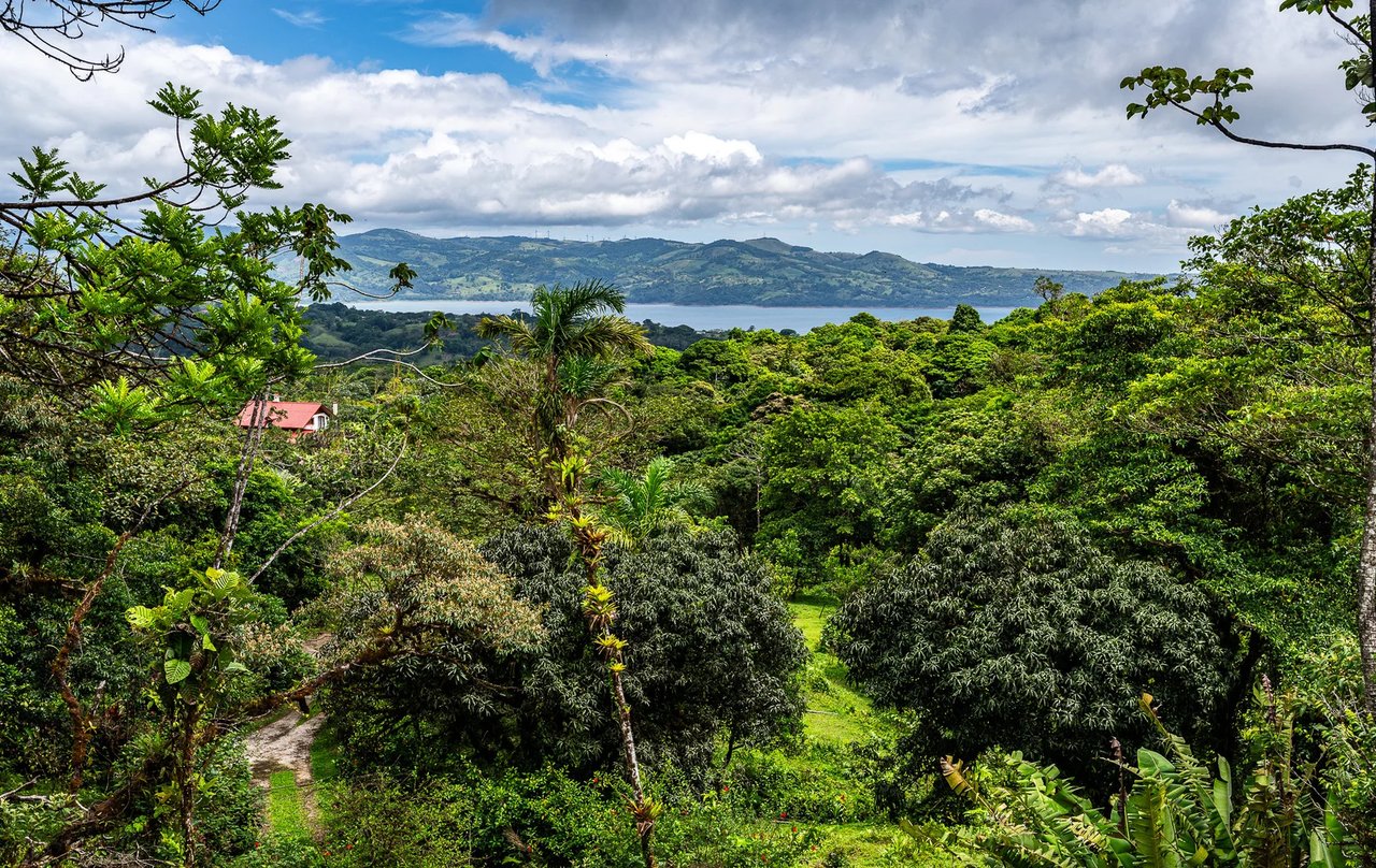 Adventure Tourism Development Land, Lake Arenal, Alajuela