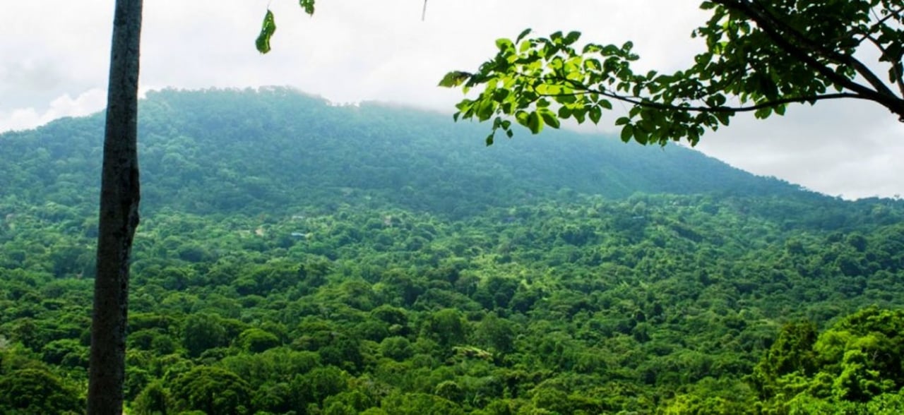 Gated Community Development Lot, Dominical, Puntarenas