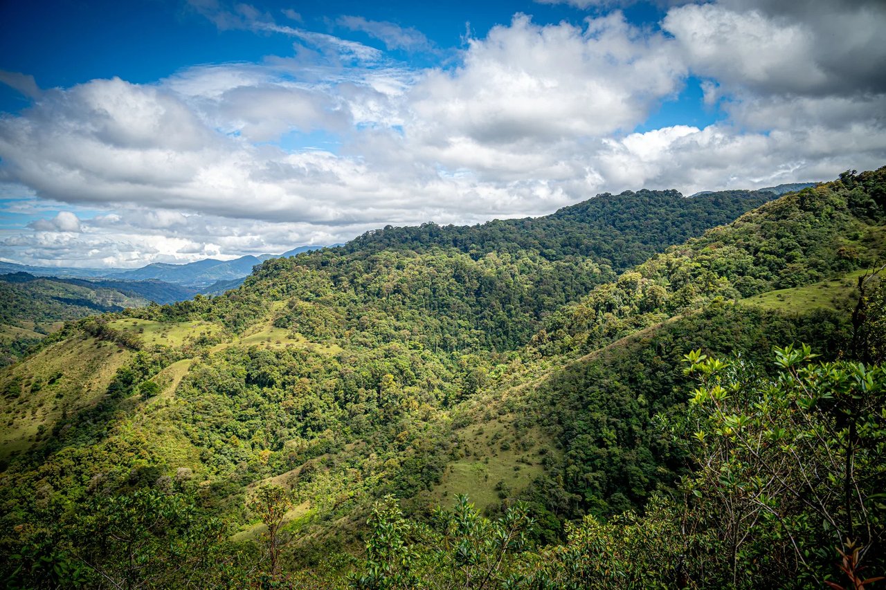 Sustainable Mountain Cabin, Cartago