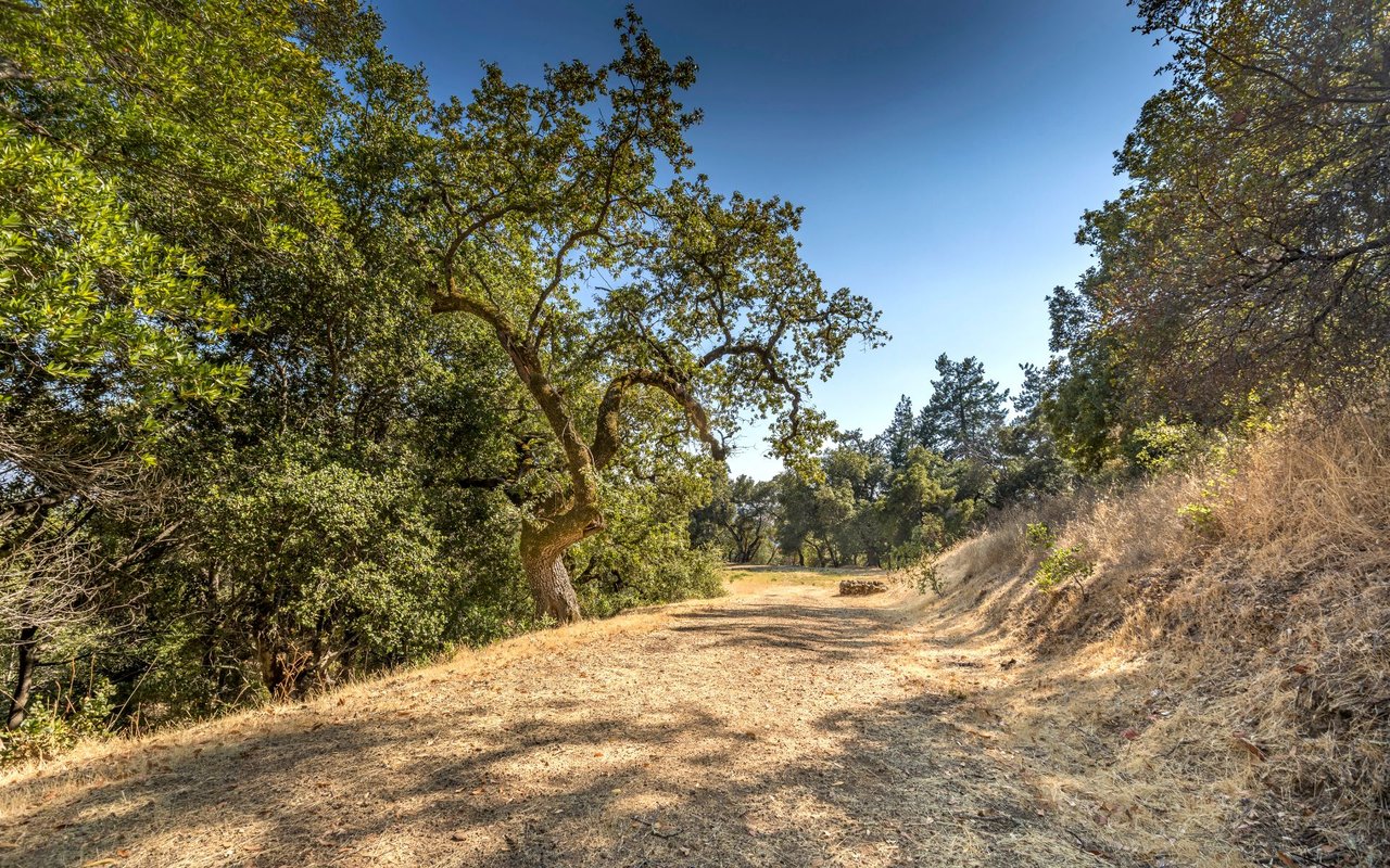 Grove Street, Sonoma