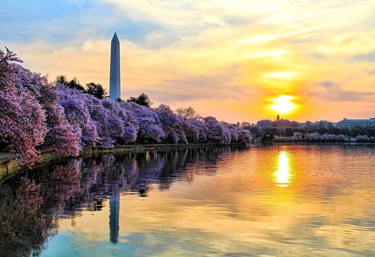 Arlington