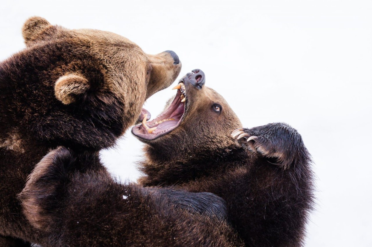 TOGETHERNESS – THE STRUGGLE IS REAL