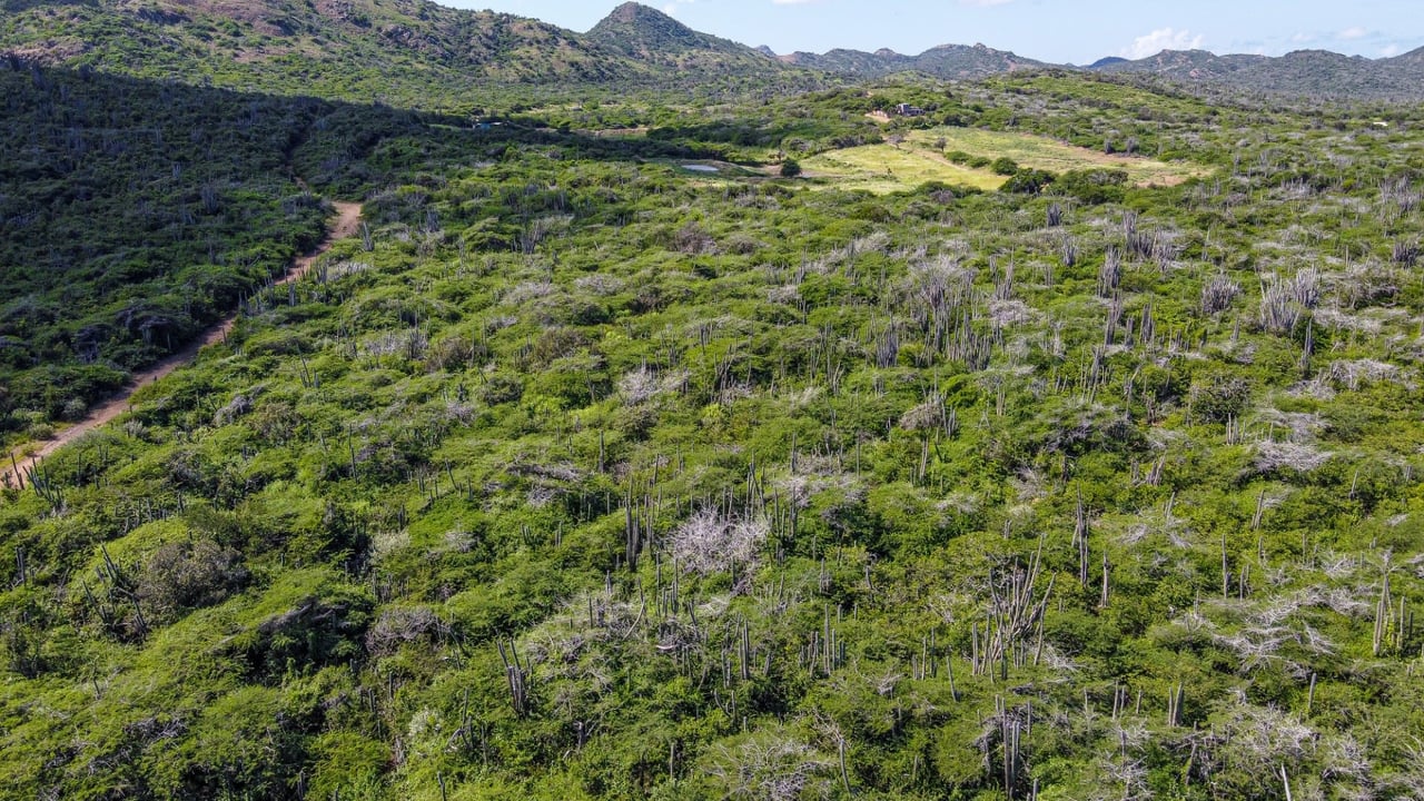 Property land Bonaire