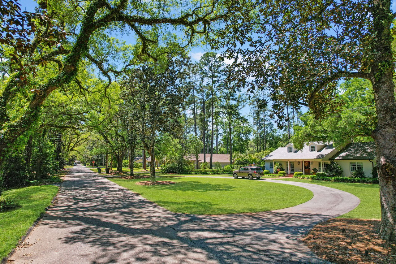 A ground-level view of a scenic road in the Piedmont Live Oak neighborhood, lined with large oak trees and a clear pathway.