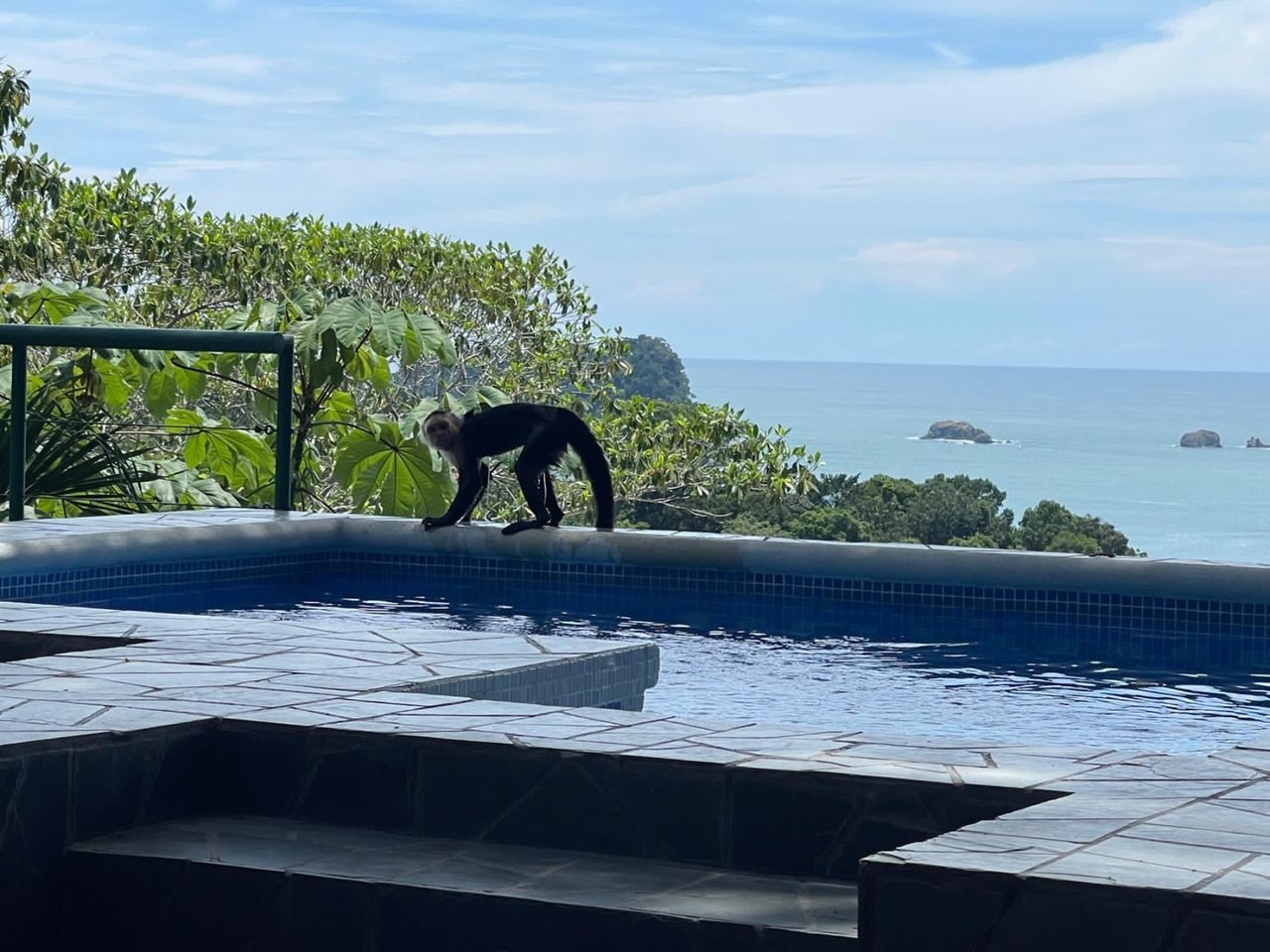 Jungle Oceanview Private Estate, Manuel Antonio, Puntarenas
