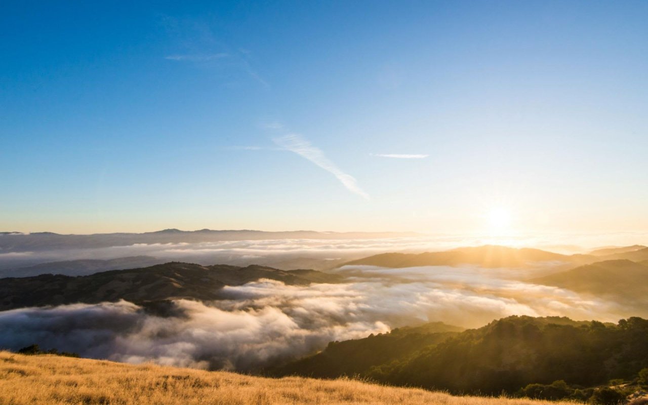 The Top Attractions in Los Gatos, CA, For Locals or Tourists