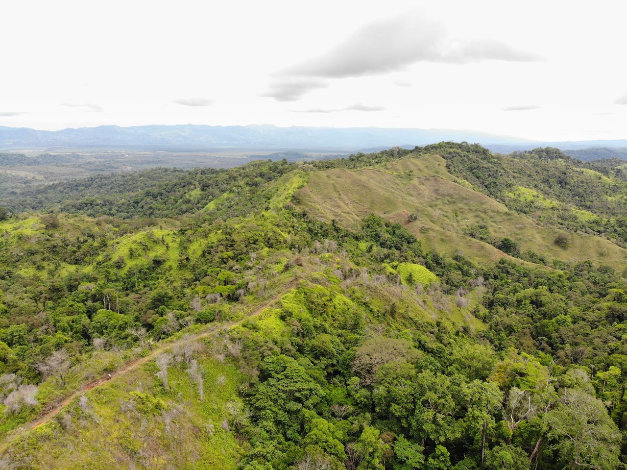 Sierpe Sunset and Jungle Views, 10 Acre Property, OSA!