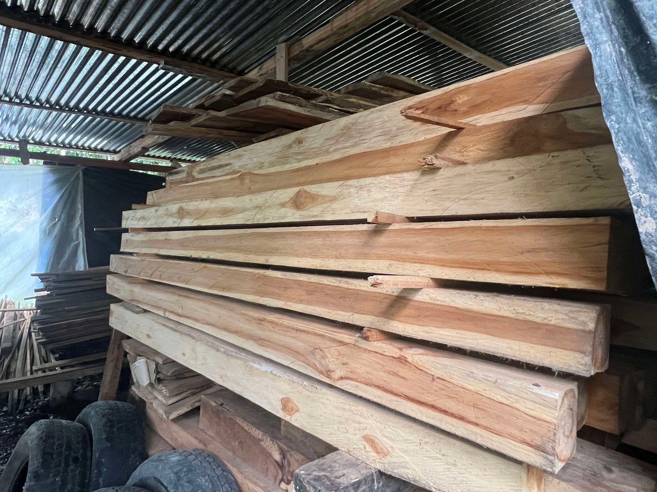 Costa Rican Teak and Hardwood Farm with Endless Potential