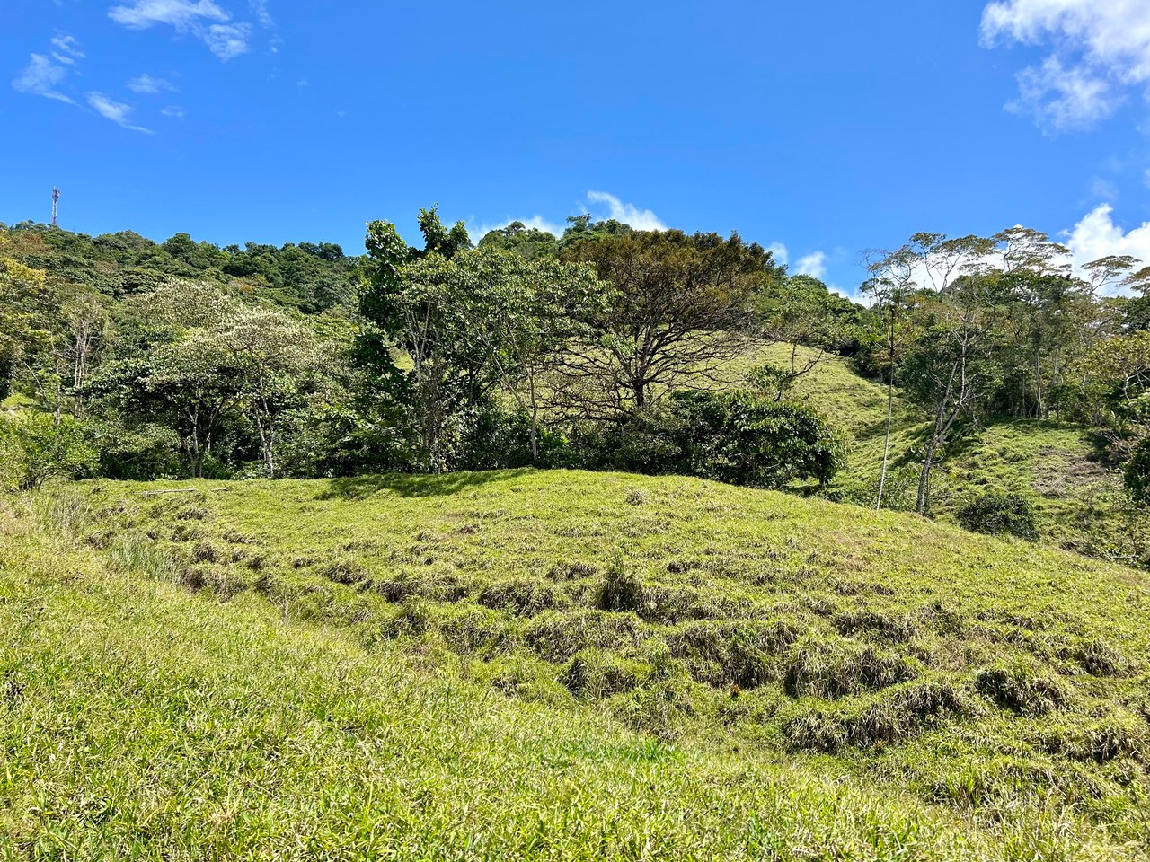 Hidden Gem: Serene Farm Retreat with Majestic Views in Costa Rica