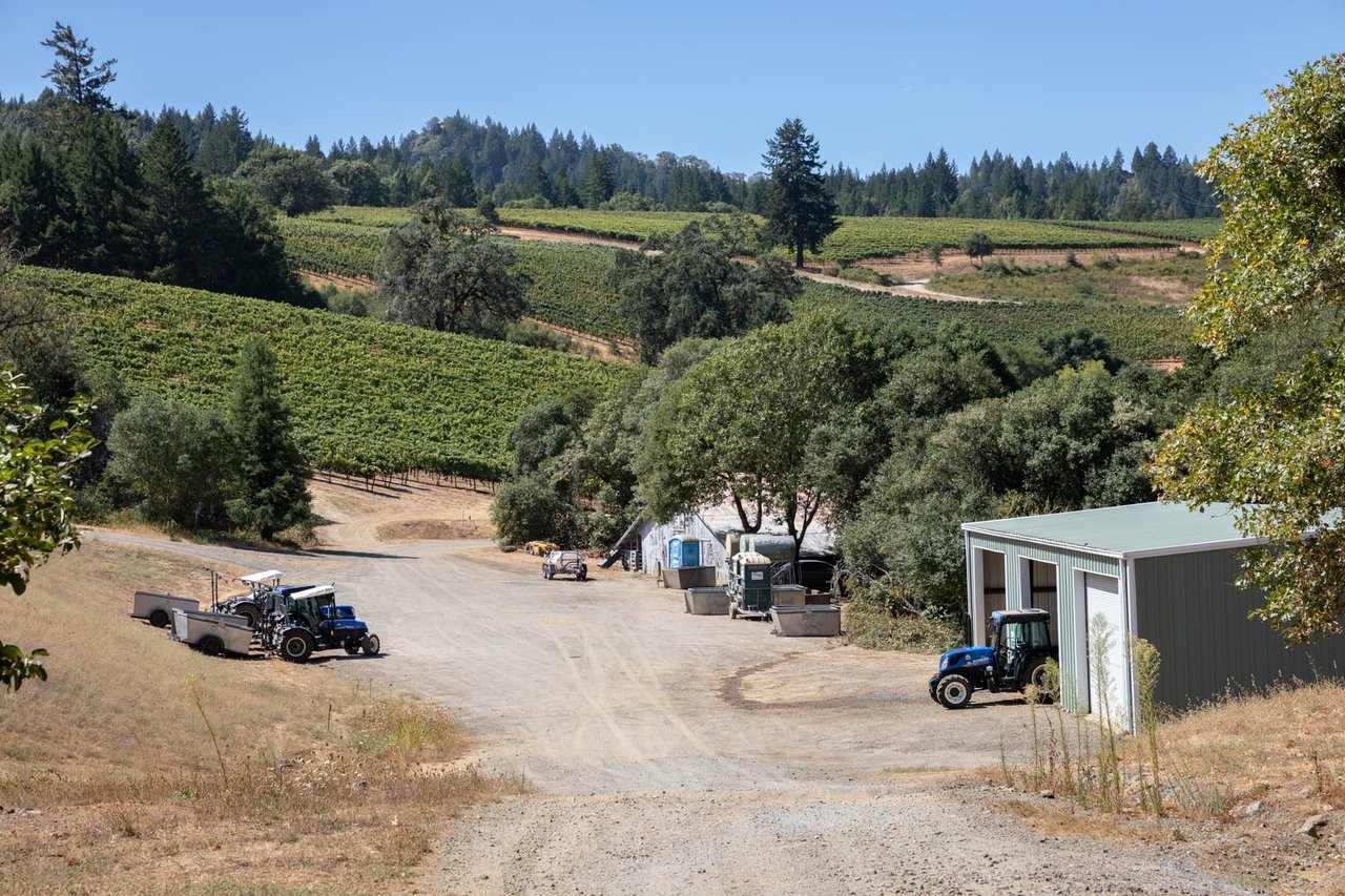 Yorkville Highlands Hillside Vineyard