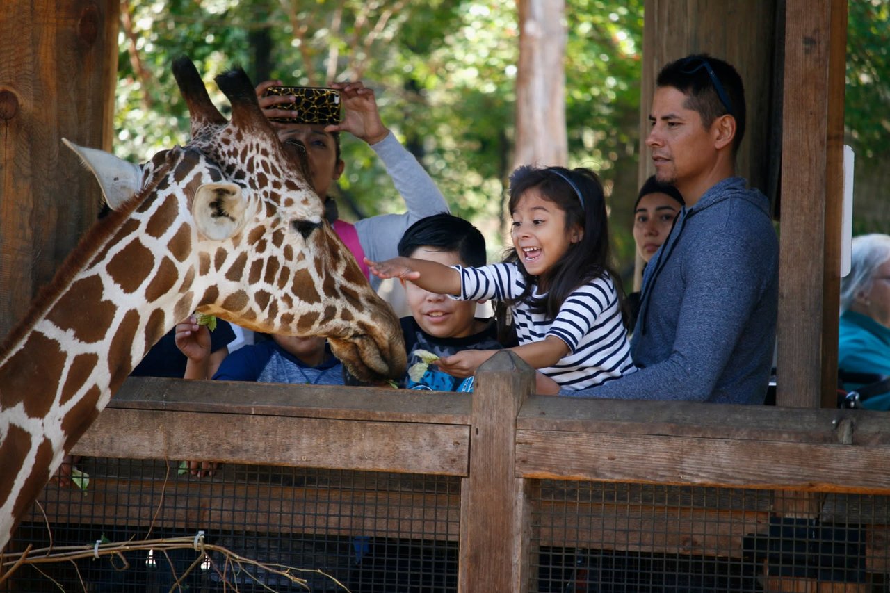 6 Family-Friendly Activities in Dallas