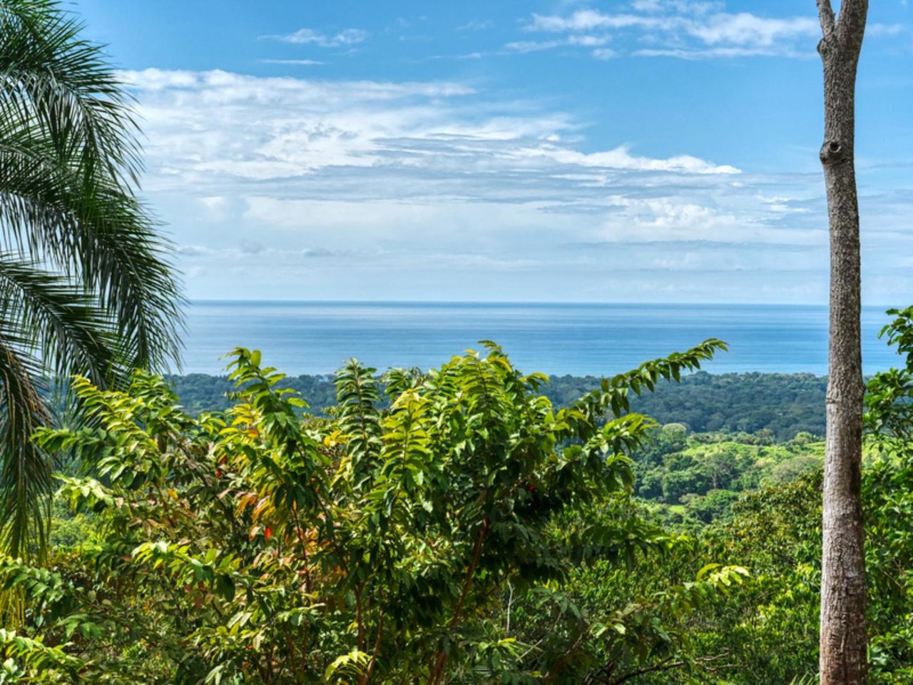 Ocean View Waterfall Land, Manuel Antonio, Puntarenas