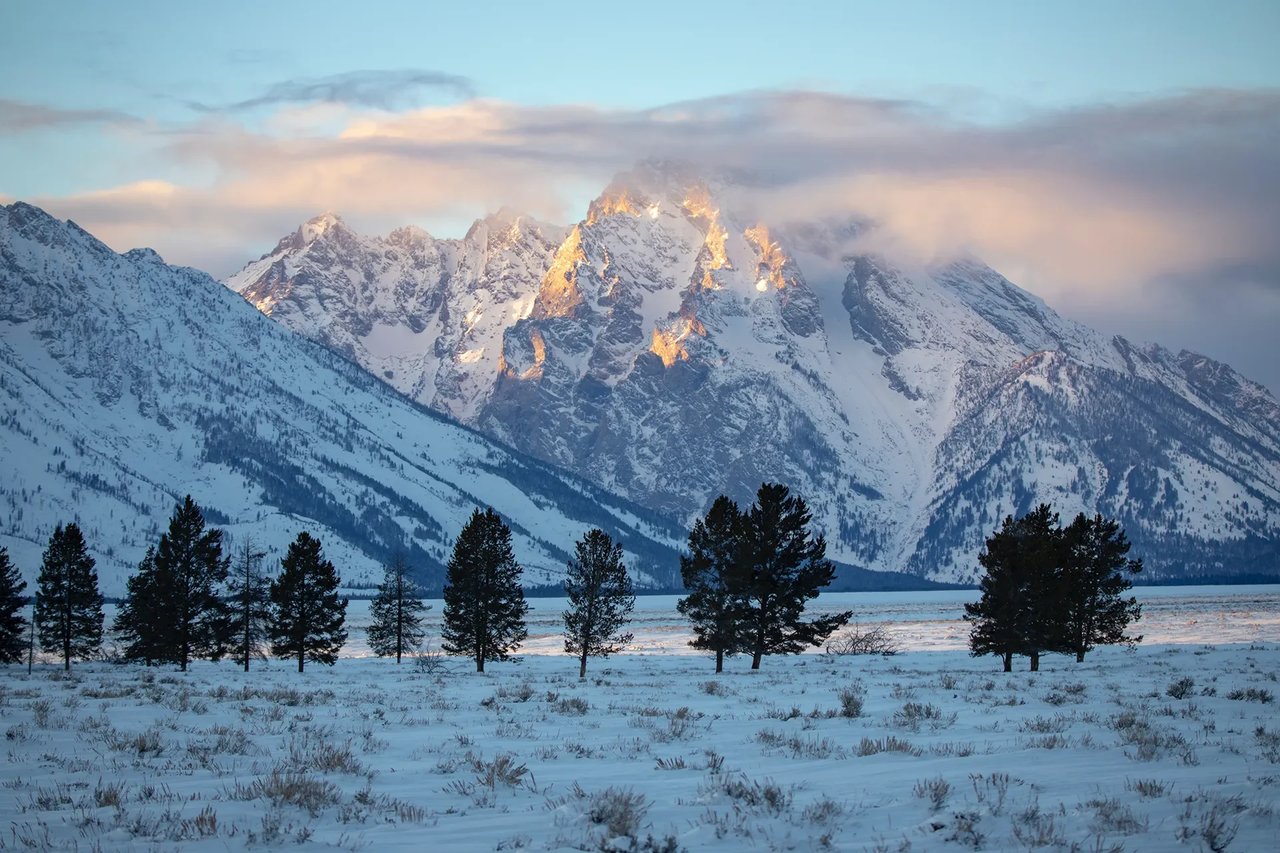 2023 Q4 Jackson Hole Market Report