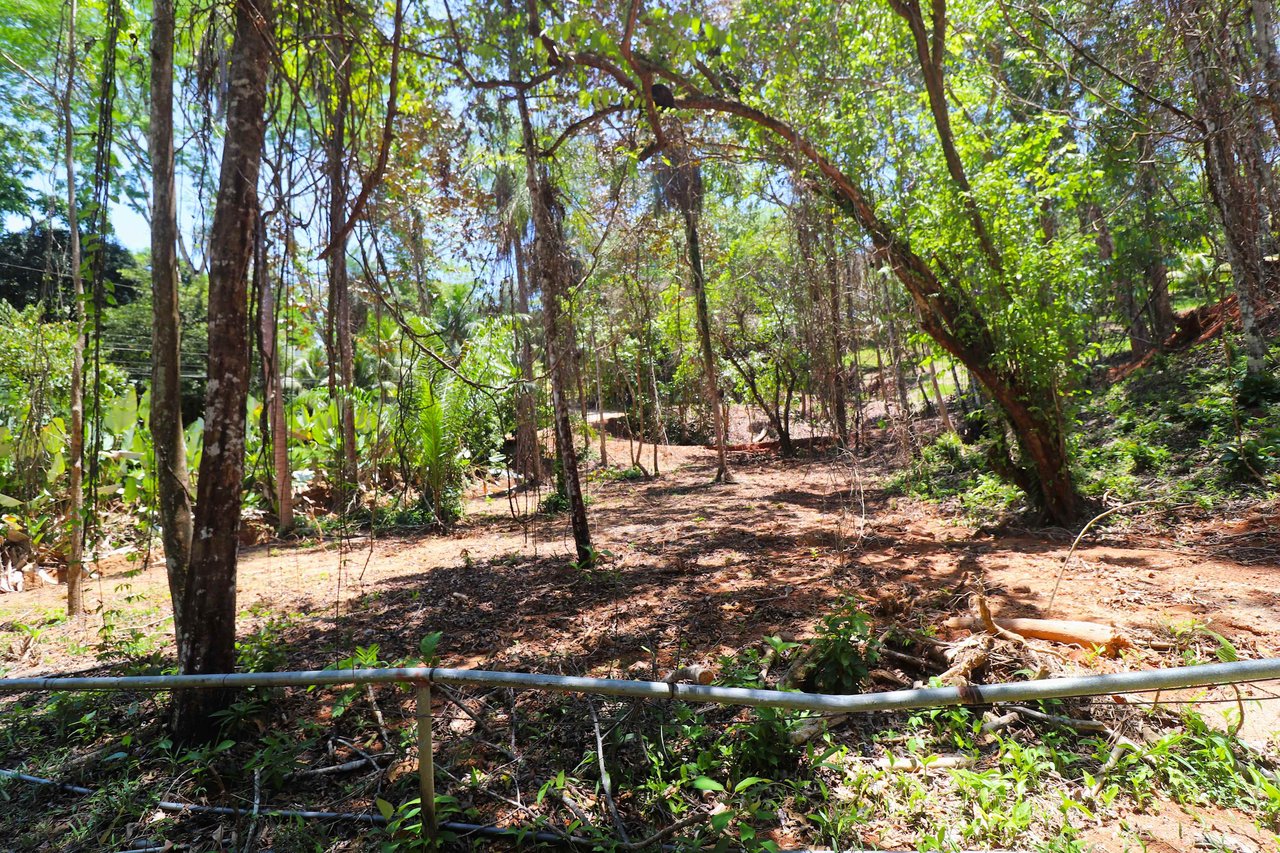 Over One Acre Attractive Lot on the Popular PEREZOSO Road.