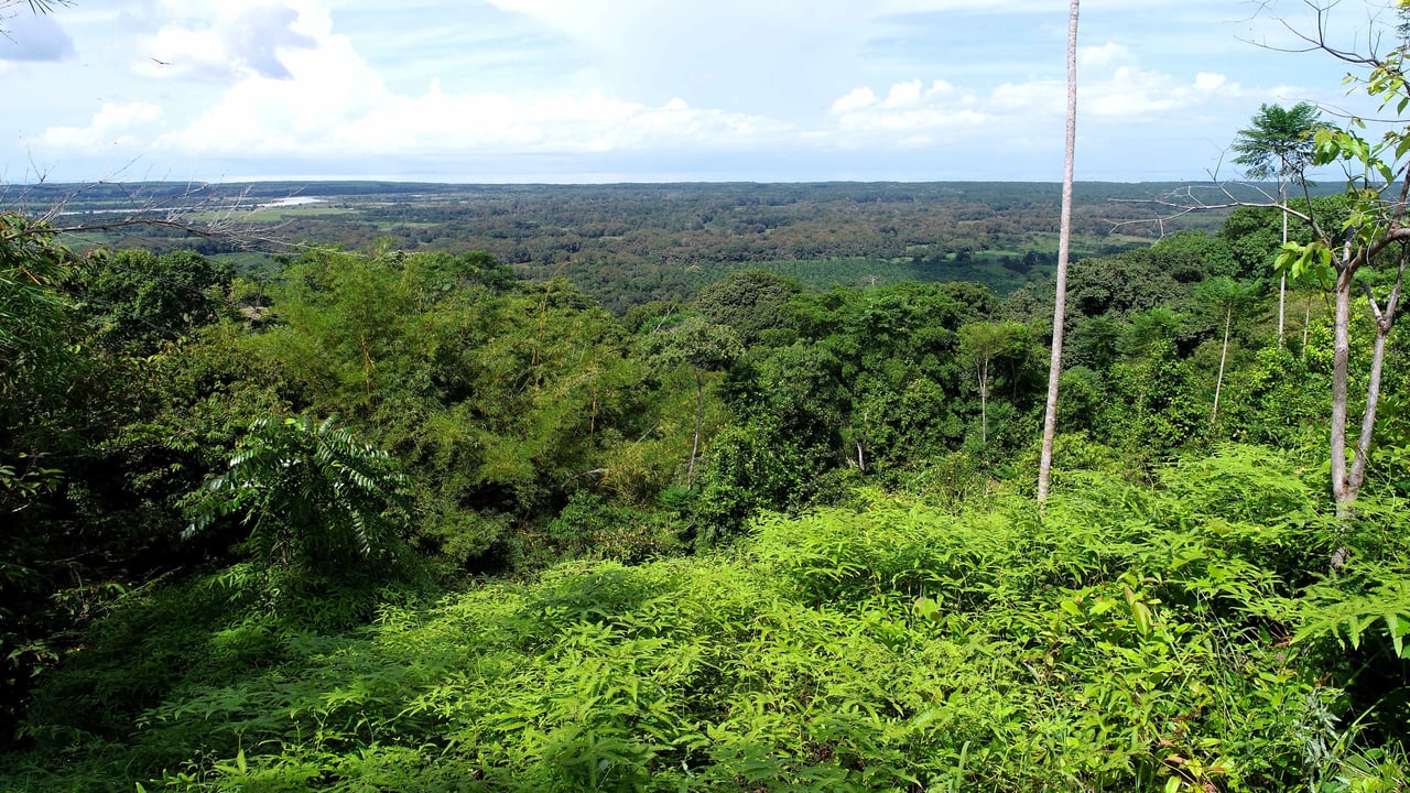 2 Acres Property with 360 Panoramic Views!