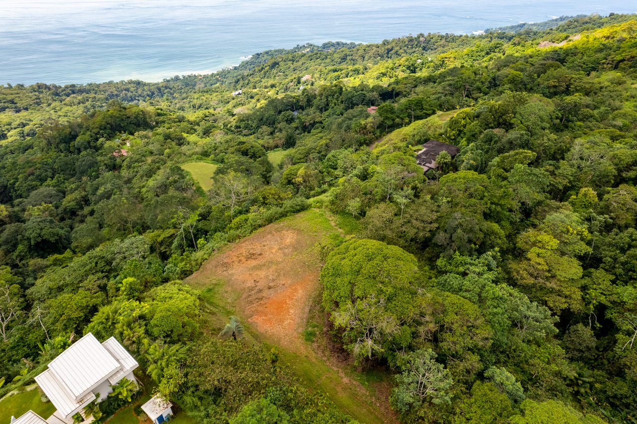 Iconic Whales Tail View in Premium Gated Community