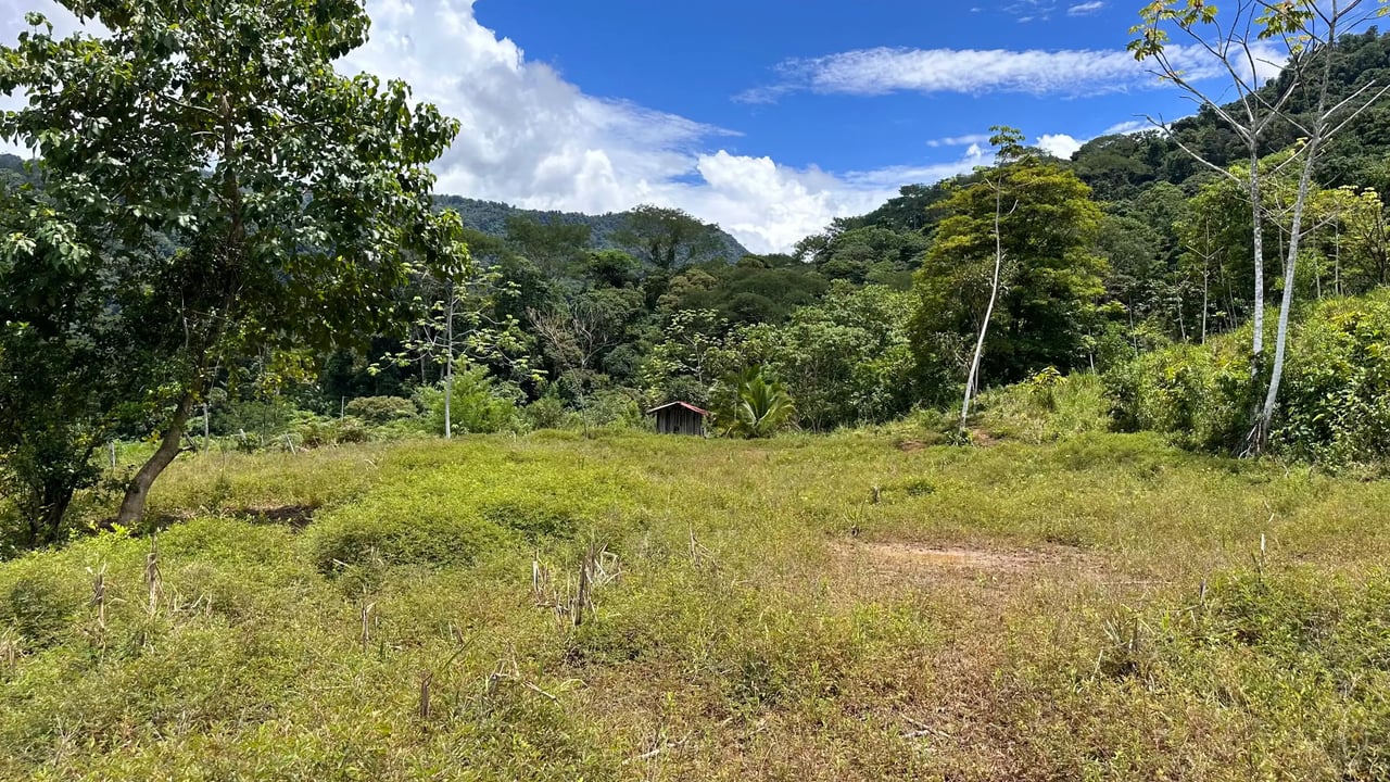 San Josecito Farm Above Uvita, 4 Acres, Creek and Usable Land