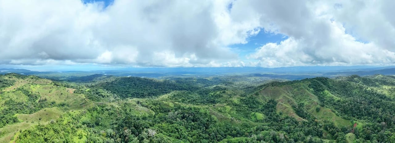 Riverside Rainforest Development Land, Osa, Puntarenas