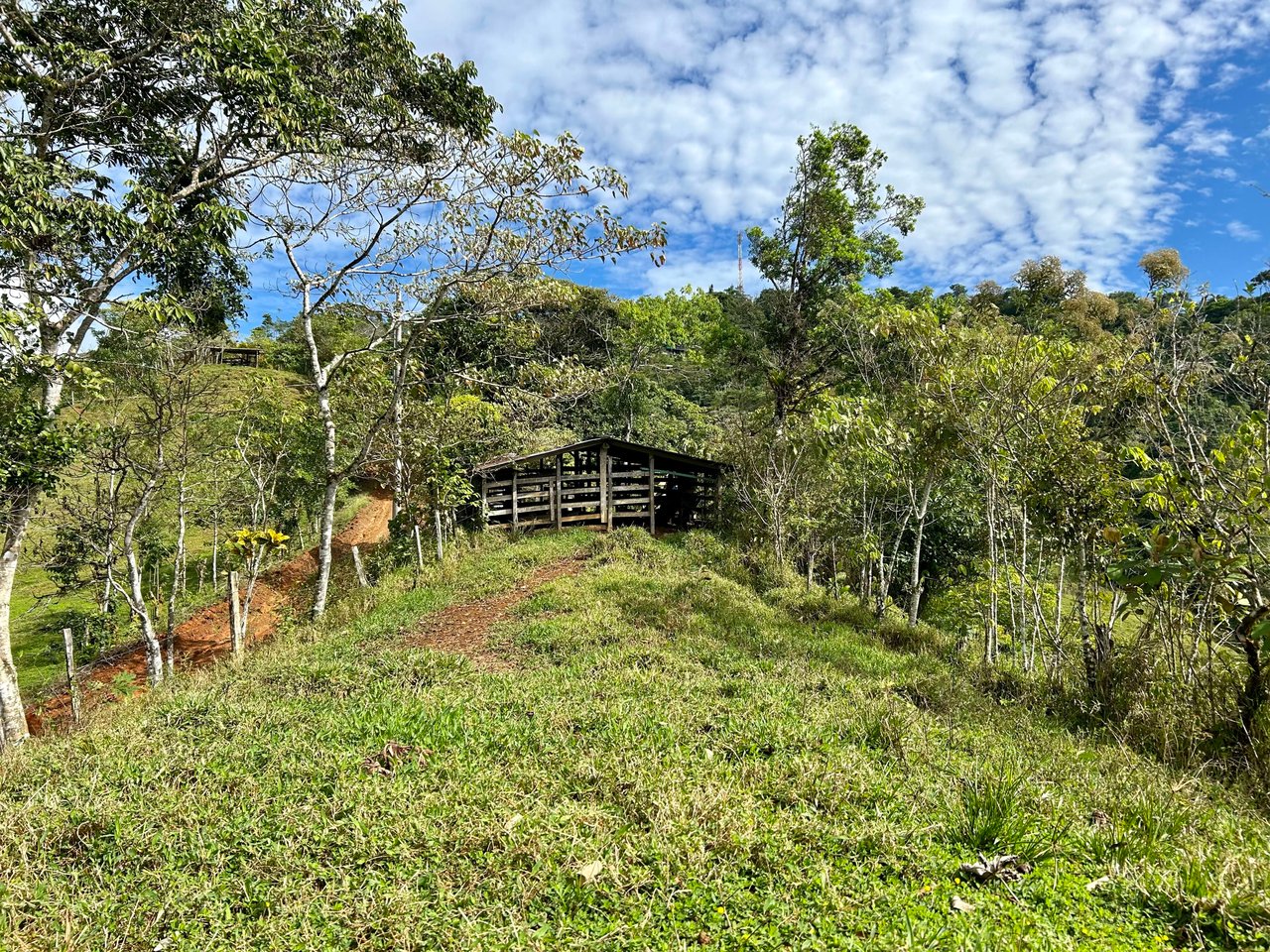 Hidden Gem: Serene Farm Retreat with Majestic Views in Costa Rica