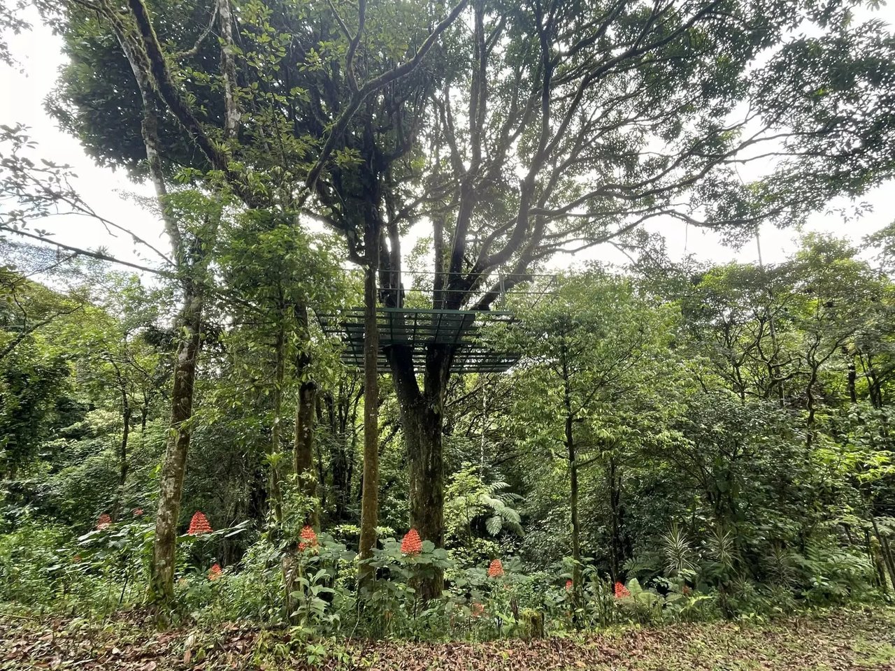 Adventure Tourism Development Land, Lake Arenal, Alajuela