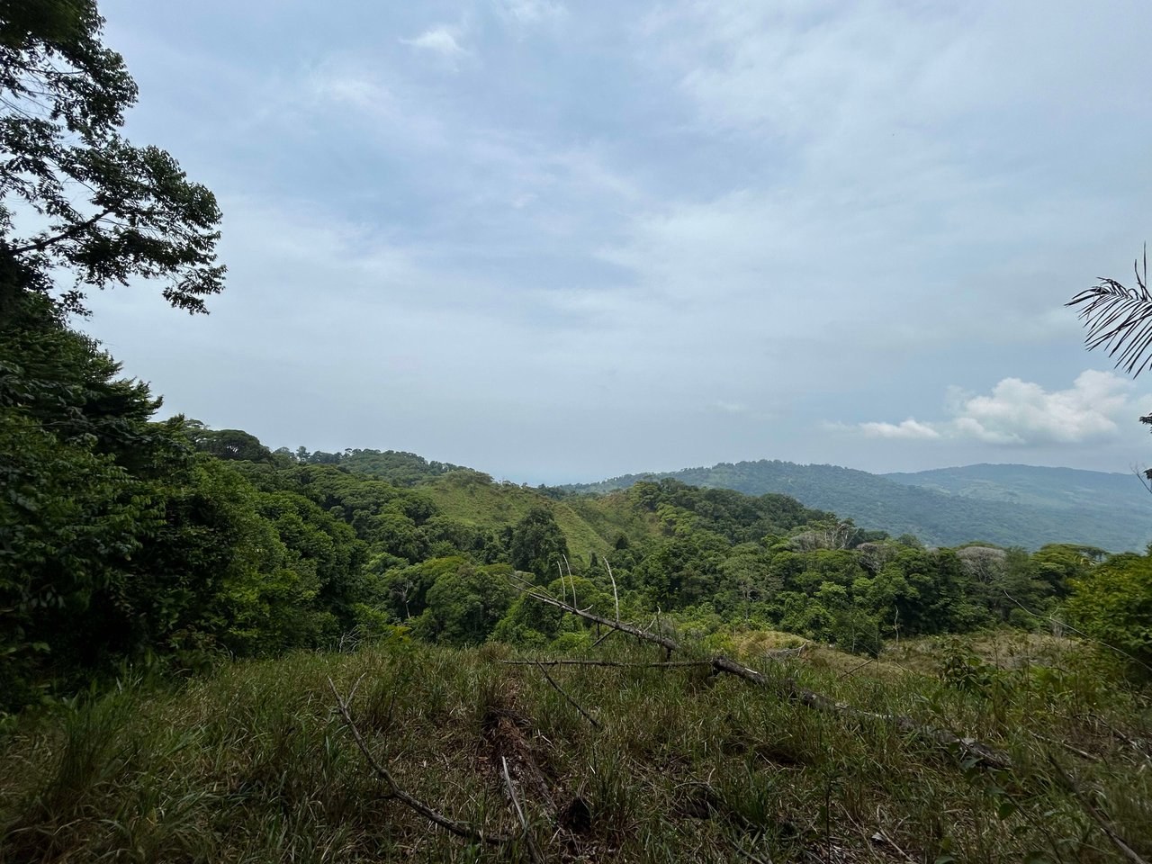 Over 76 Acres in Hatillo Overlooking Playa Linda