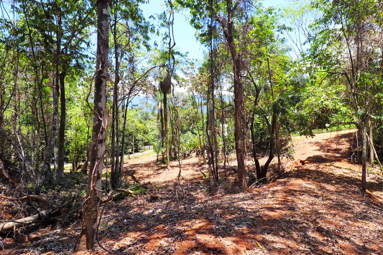 Over One Acre Attractive Lot on the Popular PEREZOSO Road.