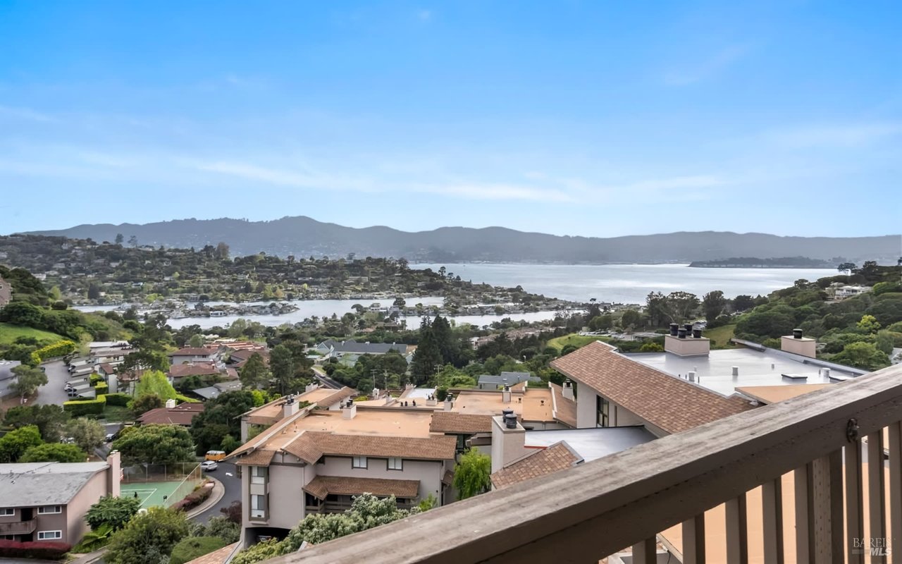 Tiburon Real Estate Market Prices, Trends and Forecast 2024