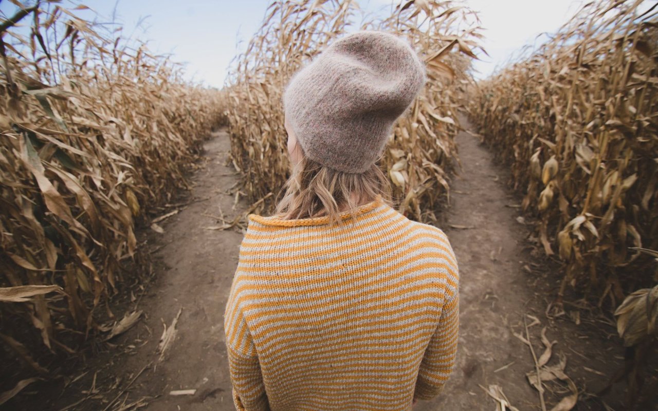 11 Corn Mazes and Pumpkin Patches Near Denver