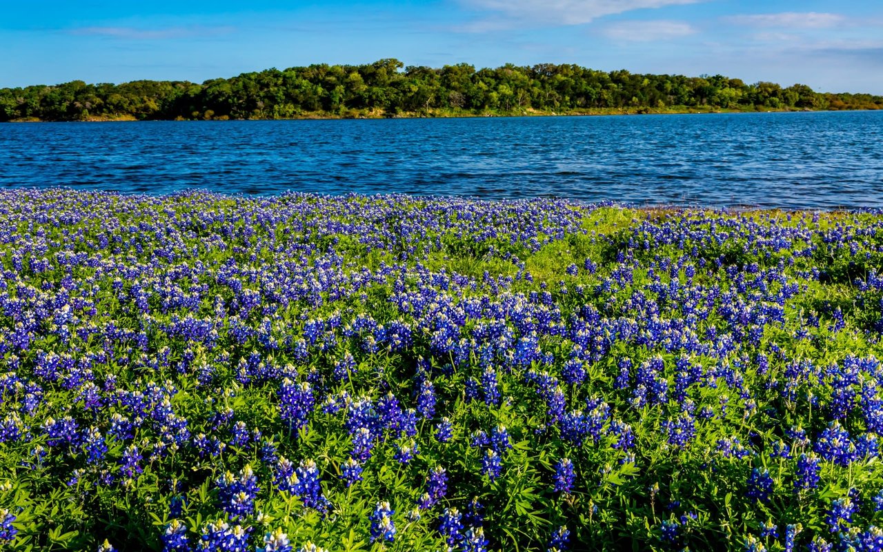 Lake Conroe