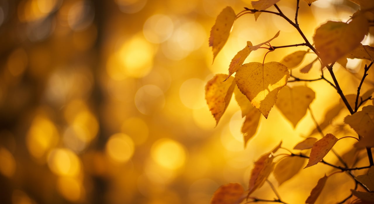 A Summary of September