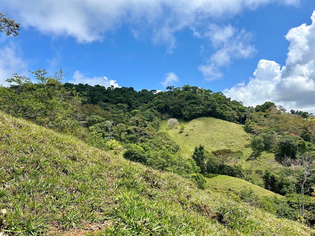 Hidden Gem: Serene Farm Retreat with Majestic Views in Costa Rica