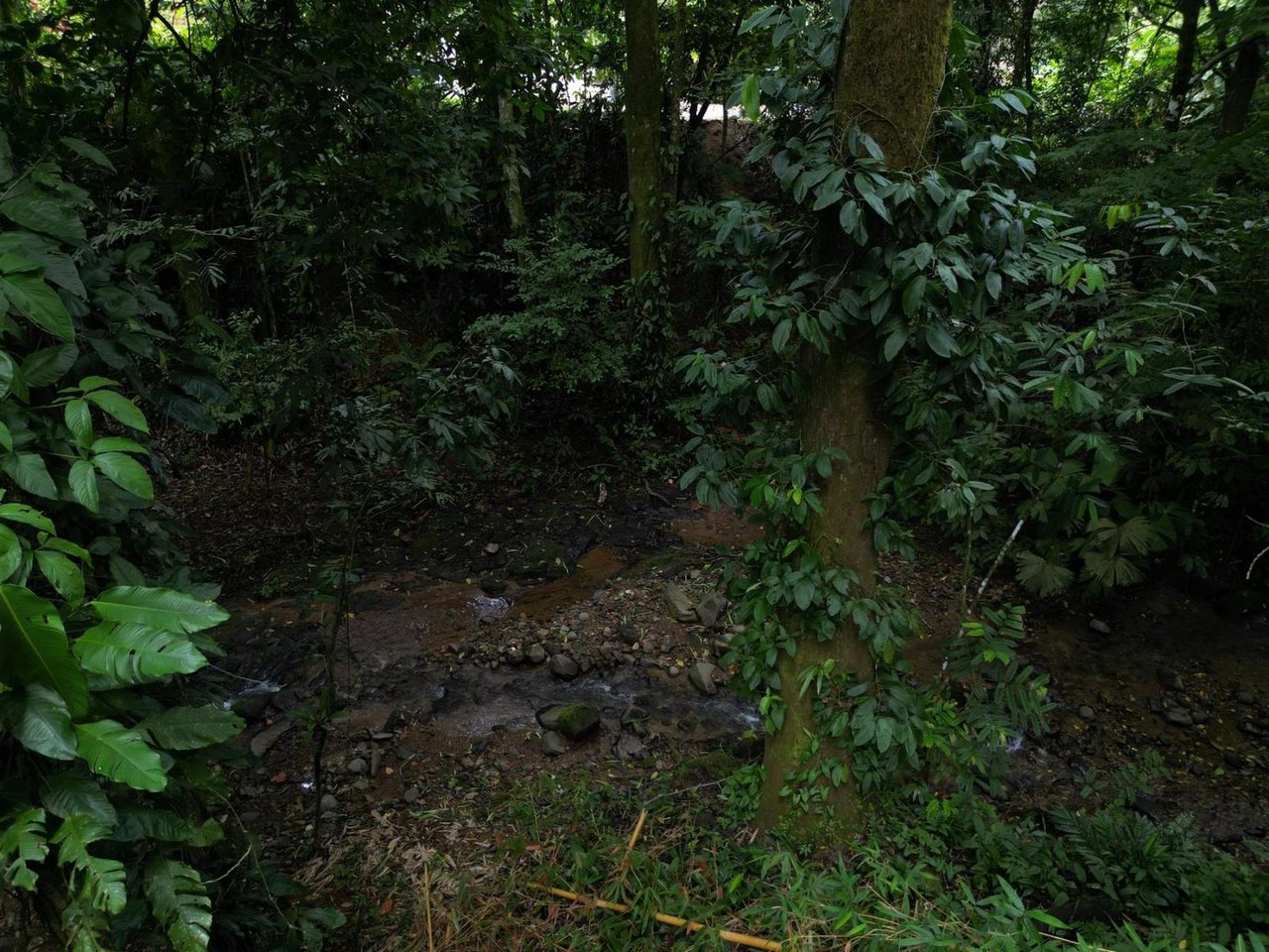 Riverside Boutique Villa Resort, Ojochal, Puntarenas